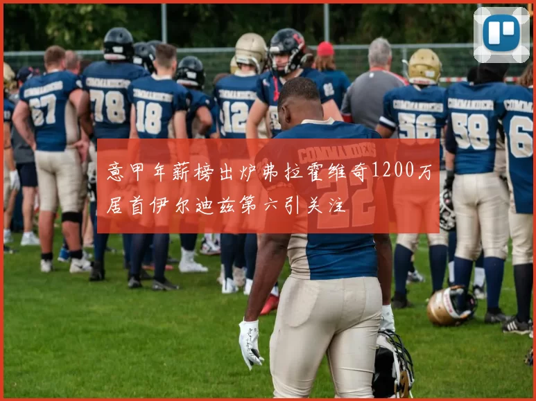 意甲年薪榜出炉弗拉霍维奇1200万居首伊尔迪兹第六引关注